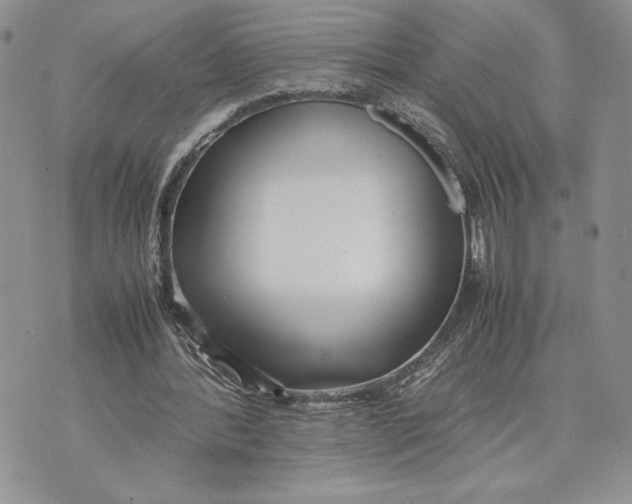 X0000070830388200607071747