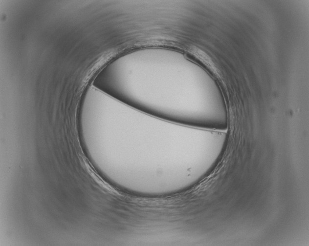 X0000070830389200607071747