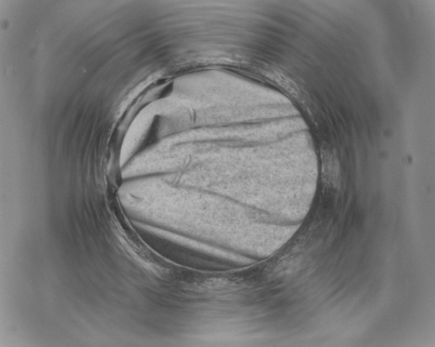 X0000070830390200607071747