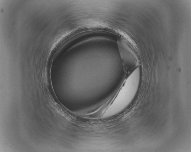 X0000070830391200607071747