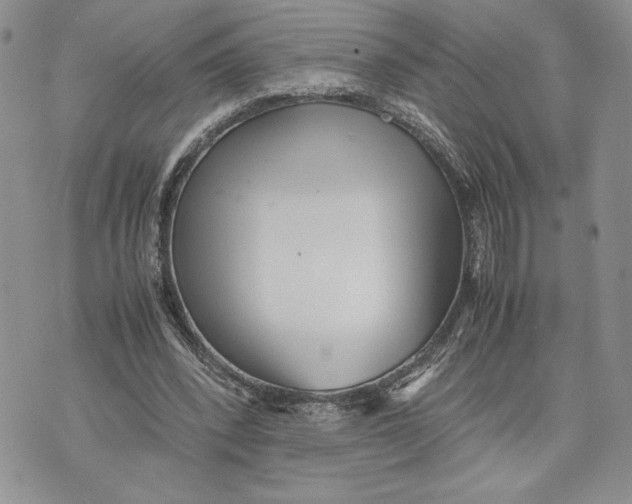 X0000070830392200607071747