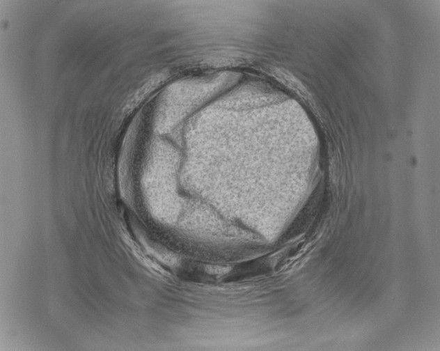 X0000070830393200607071747