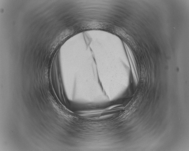 X0000070830394200607071747