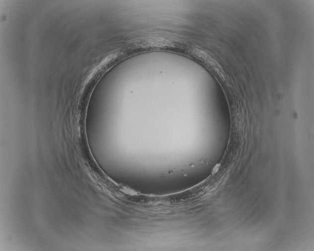 X0000070830395200607071747