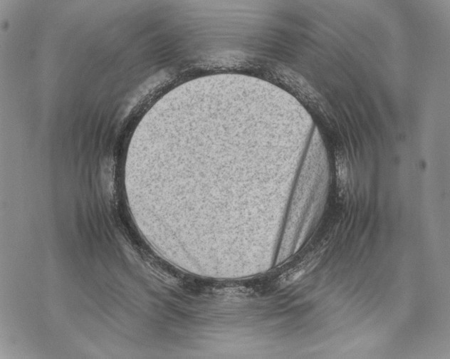 X0000070830396200607071747