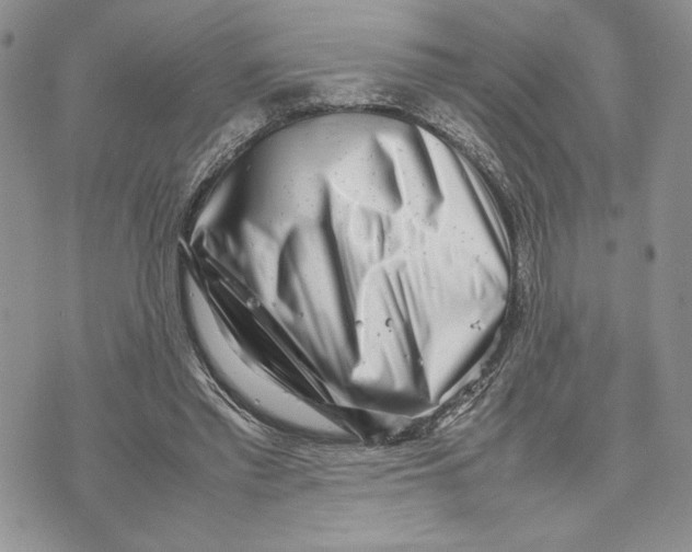 X0000070830397200607071747