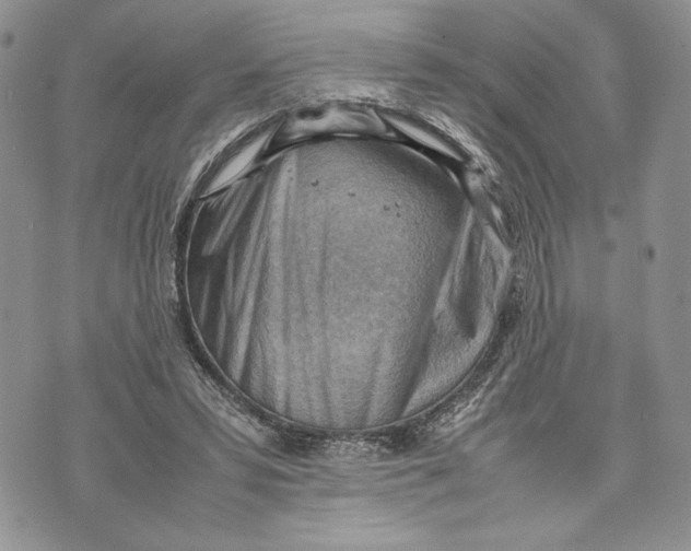 X0000070830399200607071747