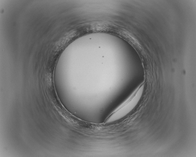 X0000070830401200607071747