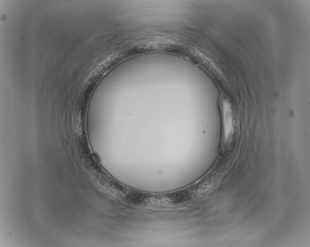 X0000070830403200607071747