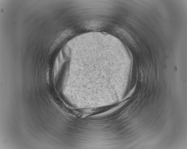 X0000070830404200607071747