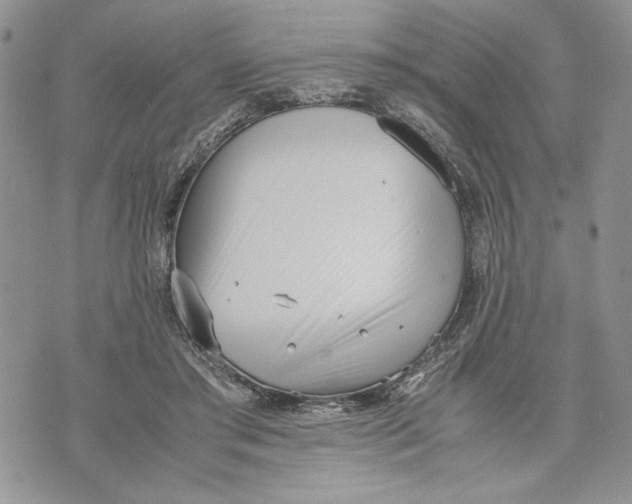 X0000070830405200607071747