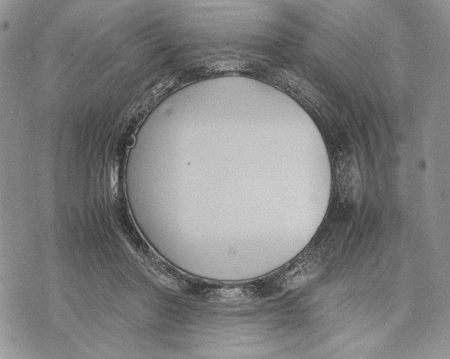 X0000070830406200607071747