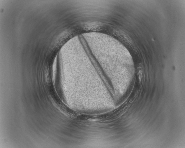 X0000070830408200607071747