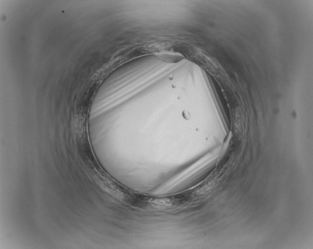 X0000070830409200607071747