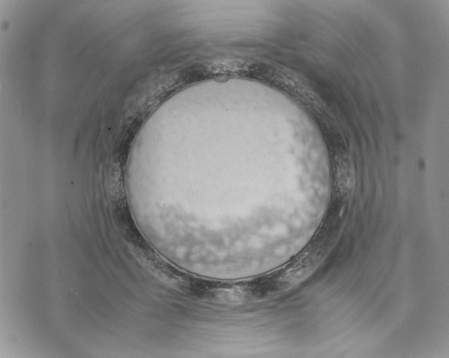 X0000070830411200607071746