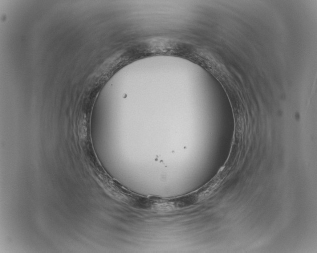 X0000070830413200607071746