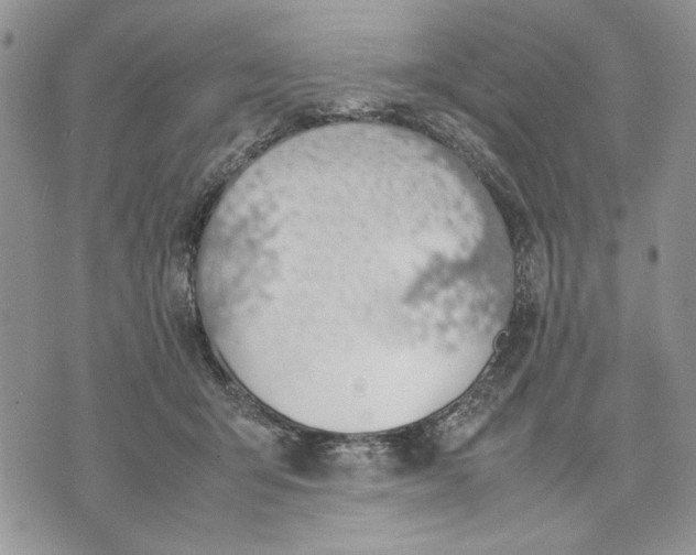 X0000070830415200607071746