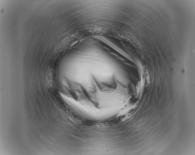 X0000070830416200607071746