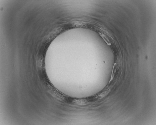 X0000070830417200607071746