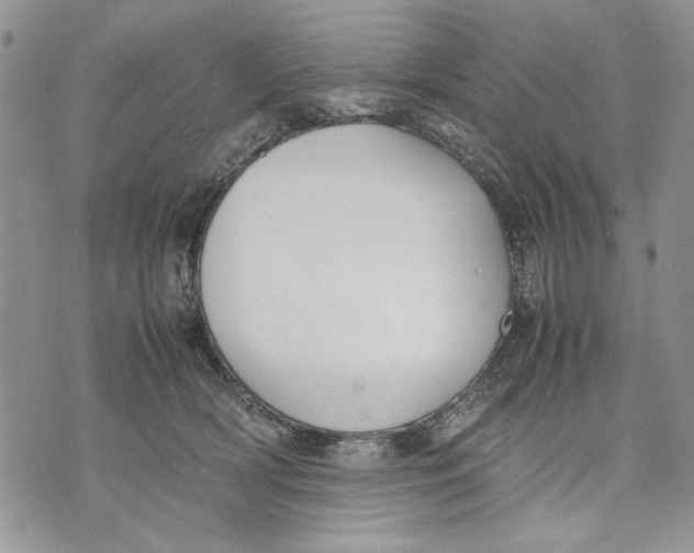 X0000070830418200607071746