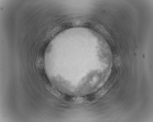 X0000070830419200607071746