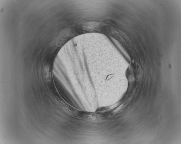 X0000070830420200607071746