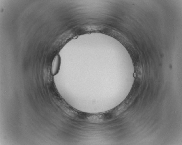 X0000070830422200607071746