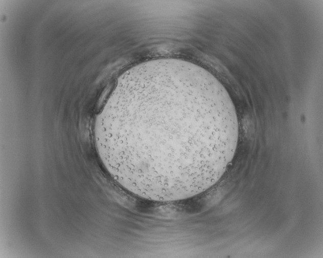 X0000070830423200607071746