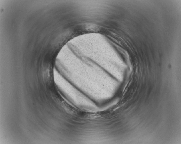 X0000070830424200607071746