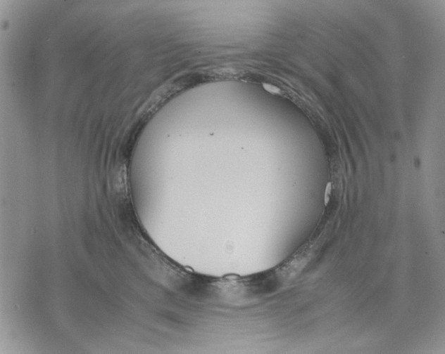 X0000070830425200607071746