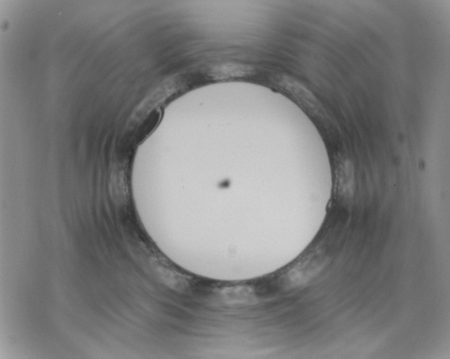 X0000070830426200607071746