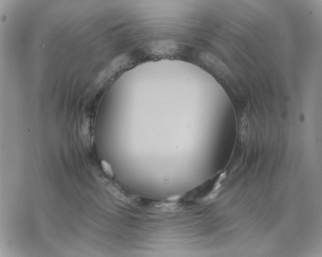 X0000070830428200607071746