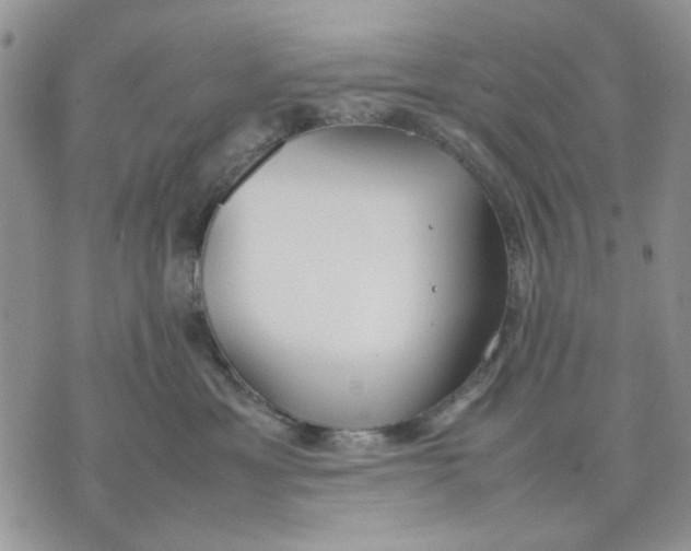 X0000070830429200607071746