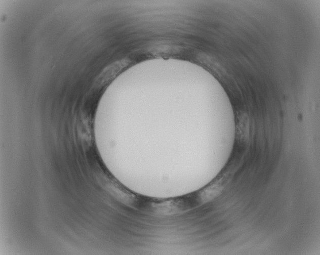 X0000070830430200607071746