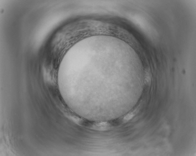 X0000070830431200607071746