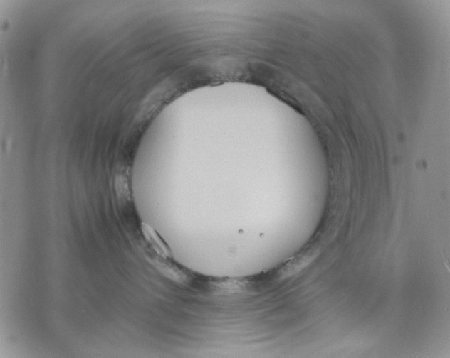 X0000070830432200607071746