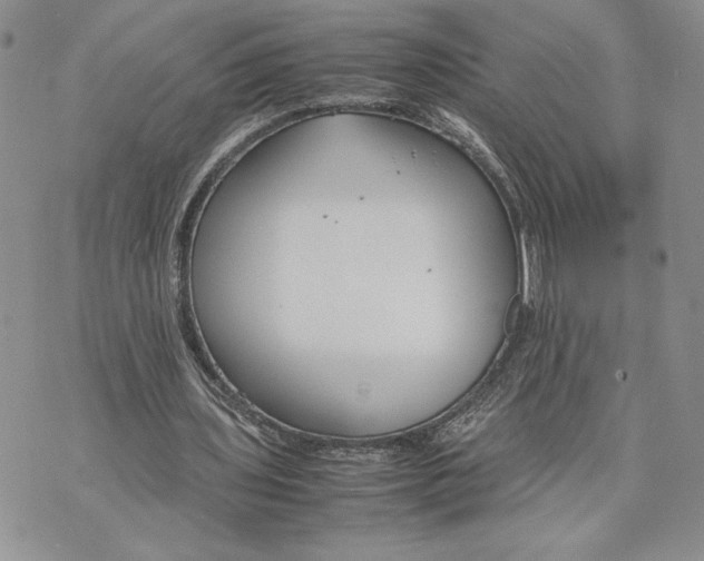 X0000070830435200607071745