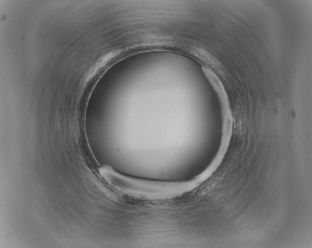 X0000070830436200607071745