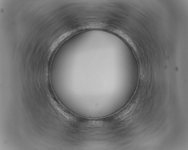 X0000070830437200607071745