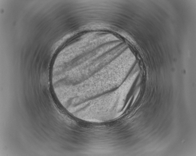 X0000070830438200607071745