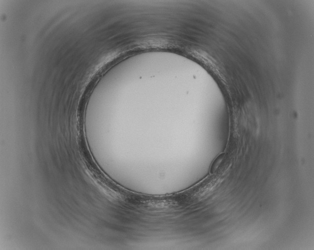 X0000070830439200607071745