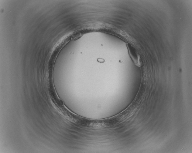 X0000070830440200607071745