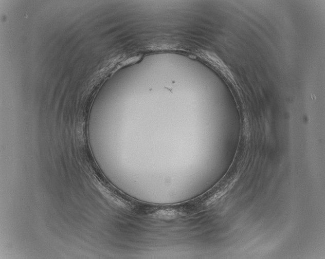 X0000070830441200607071745