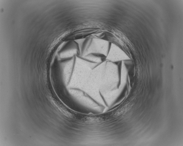 X0000070830442200607071746