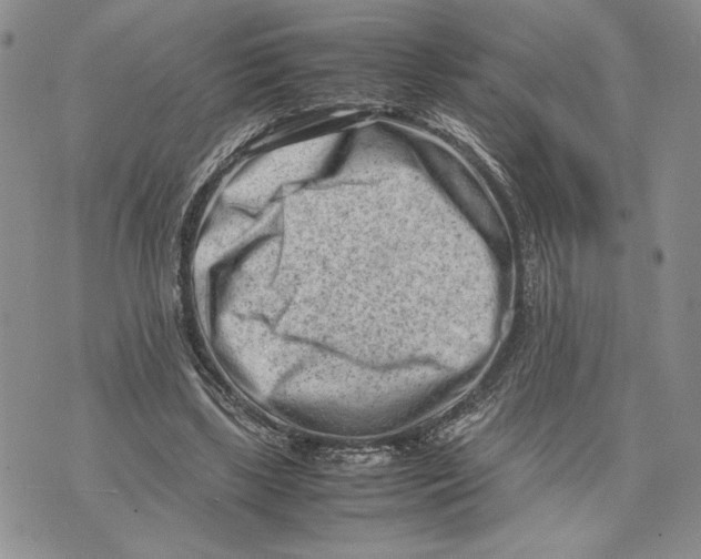 X0000070830443200607071746