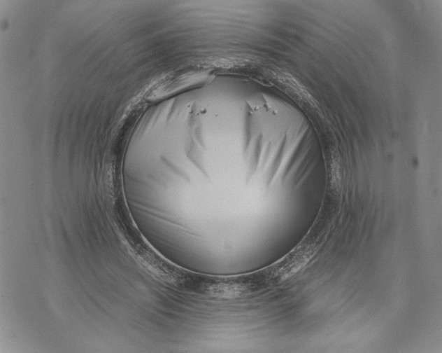 X0000070830444200607071746