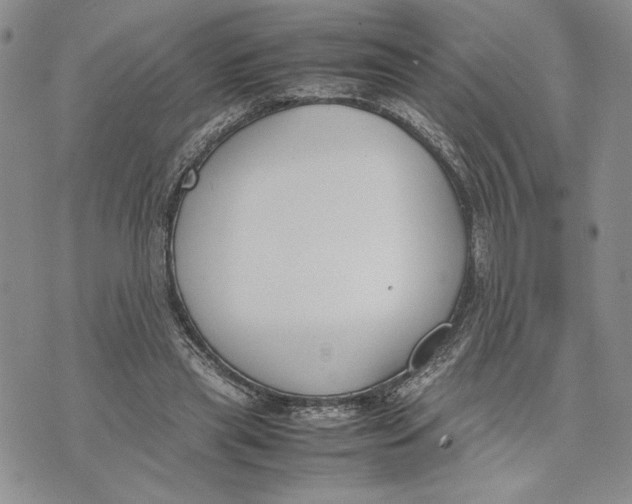 X0000070830445200607071746