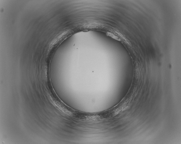 X0000070830446200607071746