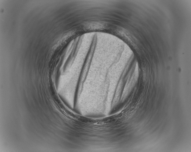 X0000070830447200607071746