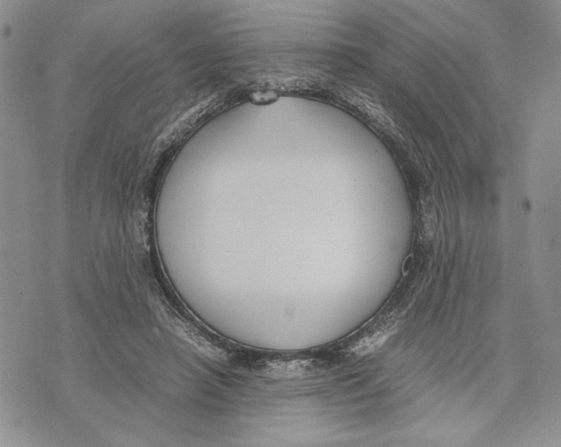 X0000070830450200607071746